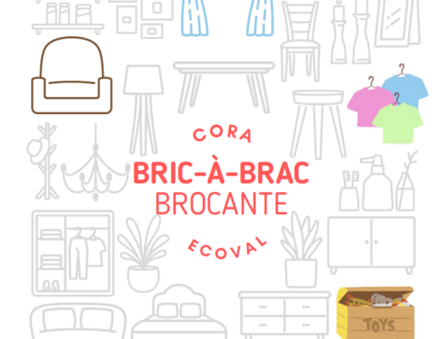 Bric-à-brac brocante (Cora-Ecoval)